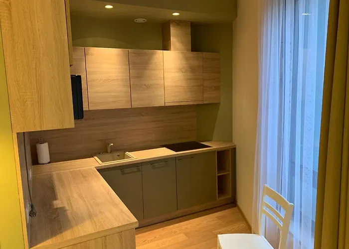 Broliu Studija Apartament *