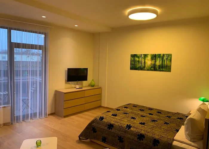 Apartament Broliu Studija