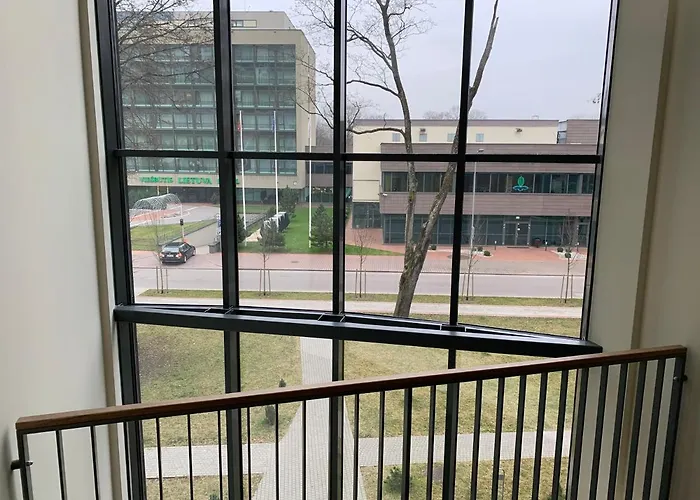 Broliu Studija Druskieniki